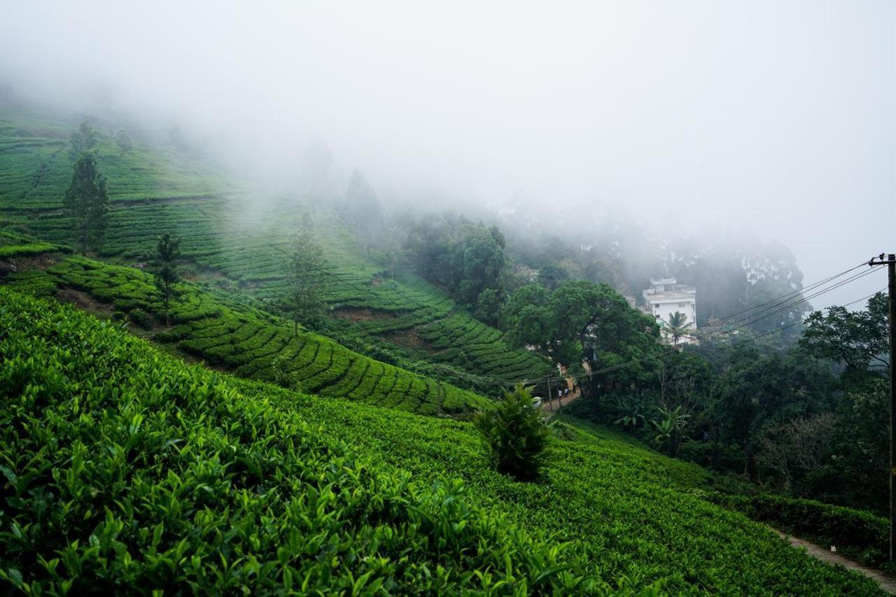 Lime Light Resort Munnar Exterior foto